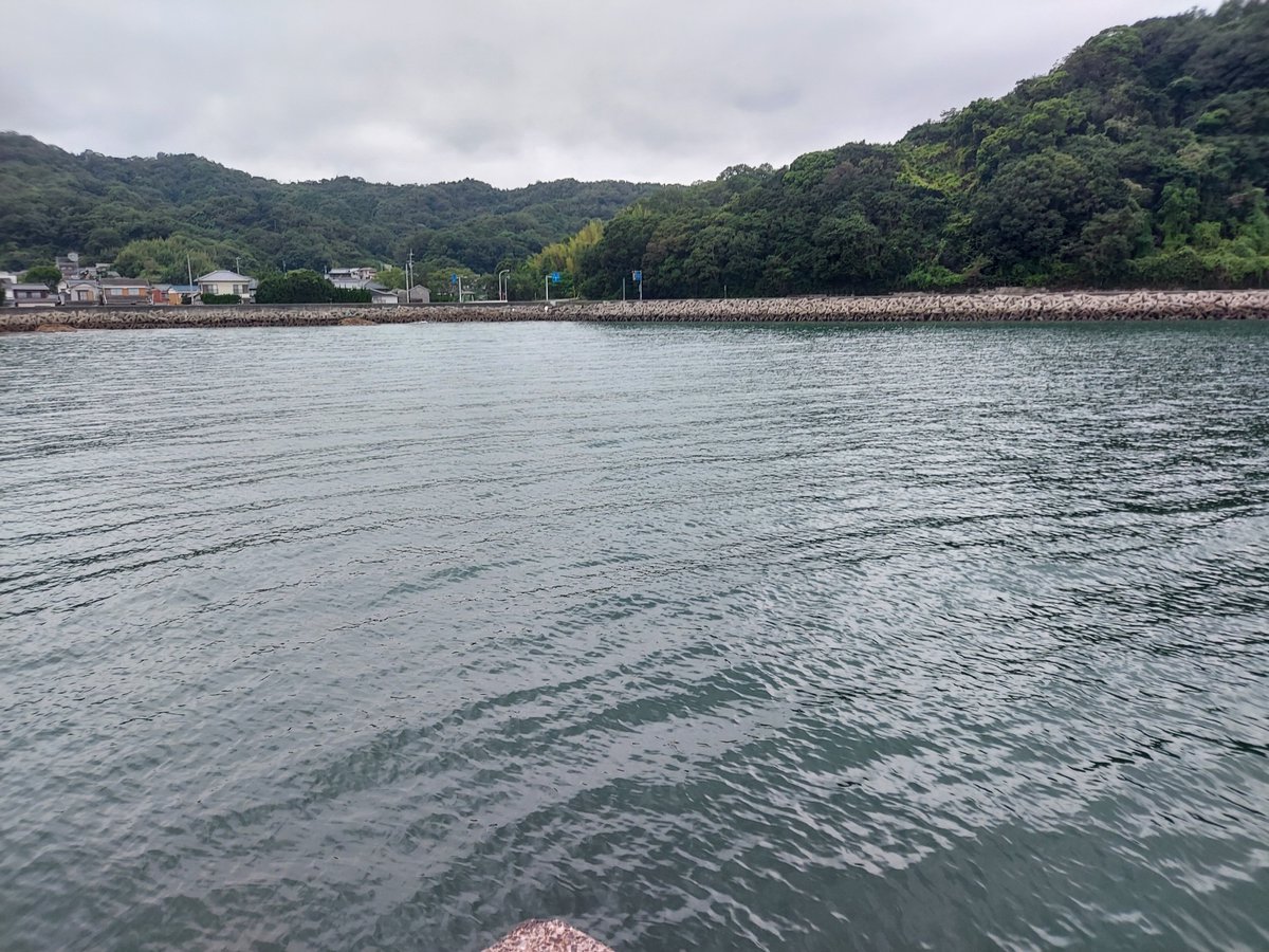 idecchi0810's tweet photo. 釣れるには釣れたが、ぱっとしない釣り方になってしまった。
アオリイカの影響かは不明ですが、ボトムでしか生体反応がなく、PE0.3号のラインでは比重が軽く遠くに飛ばせば飛ばす程、合わせが決まらなかった。
ラインを高比重PEに変更して、リベンジをしたい😭 https://t.co/1haN1DKWr7
