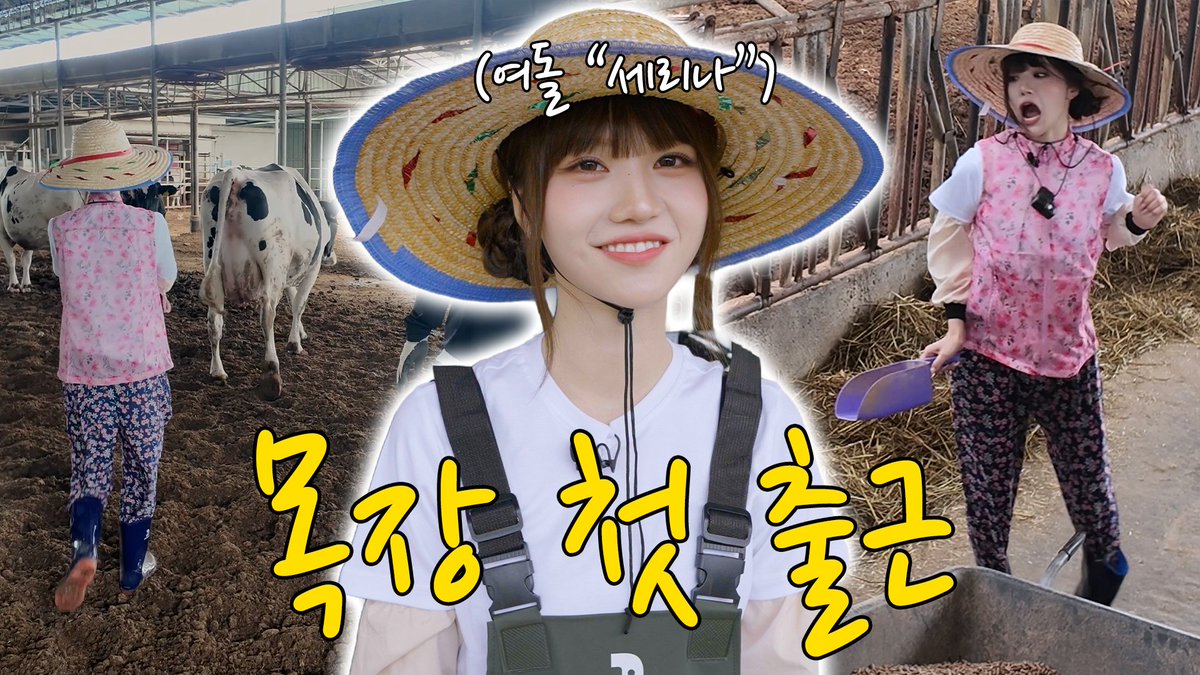 MADEIN_U's tweet photo. [🎥]

소 먹이고 똥 치우고 착유까지… 아이돌의 리얼 목장 알바🐄 | 농촌알바왕 EP.2 #TYM #세리나 #메이딘

🔗 https://t.co/hOCzPtjHvA

#세리나 #セリナ #SERINA
#메이딘 #メイディン #MADEIN #MABY https://t.co/tDDzdE4vOz