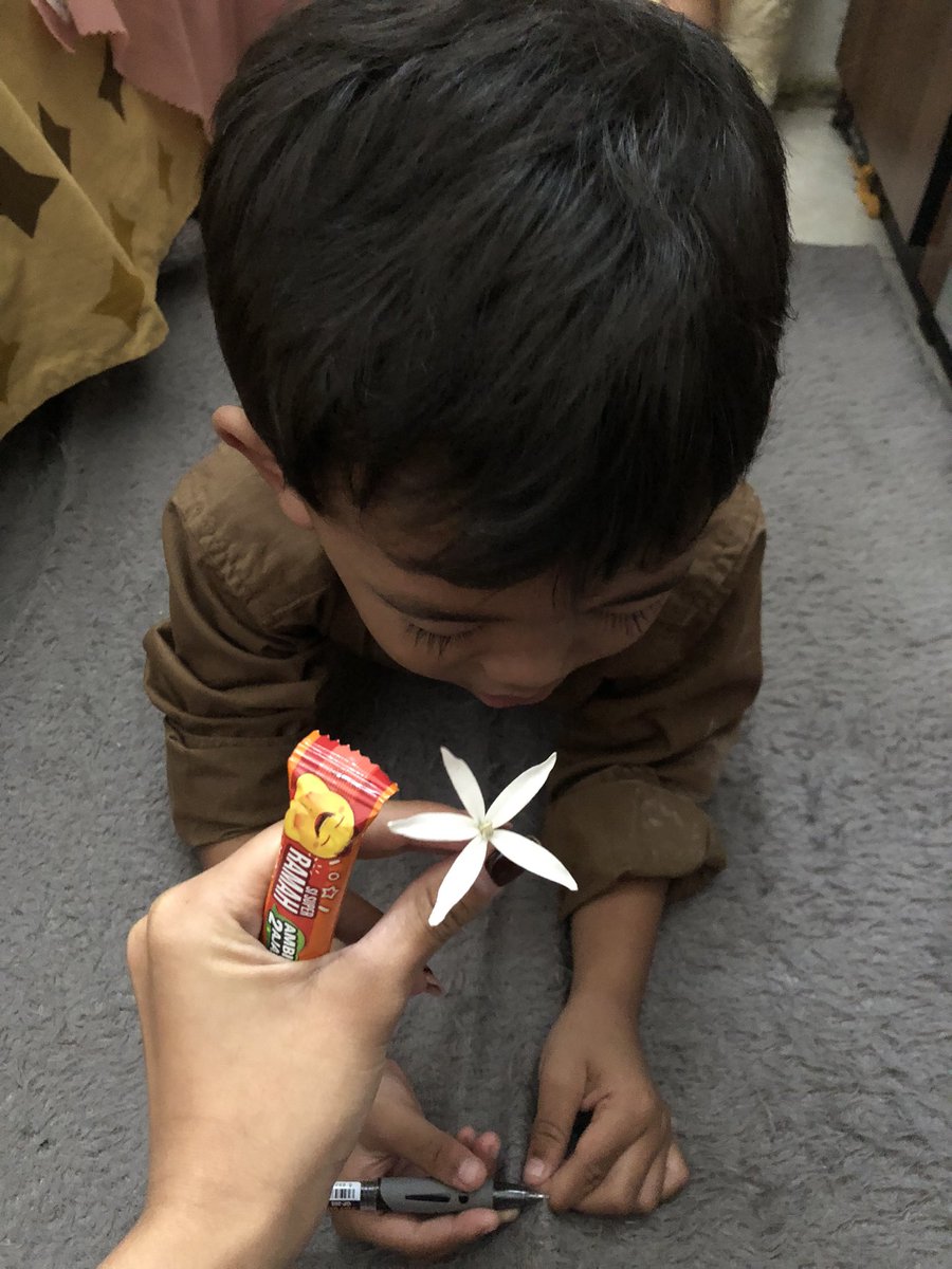 asixxnyala's tweet photo. pulang dari tk terus ke kamar bawa bunga tiba tiba bilang “buat lala” terus pergi ke kamar dia pas di samper in senyum salting, lucu banget ponakan gua https://t.co/D8XQWjWT2g