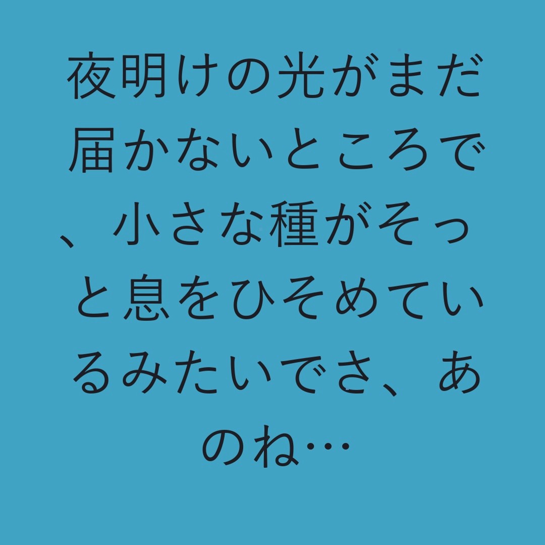 MilaRodrigwa's tweet photo. 夜明けの光がまだ届かないところで、小さな種がそっと息をひそめているみたいでさ、あのね… https://t.co/PZeZVBzFGh