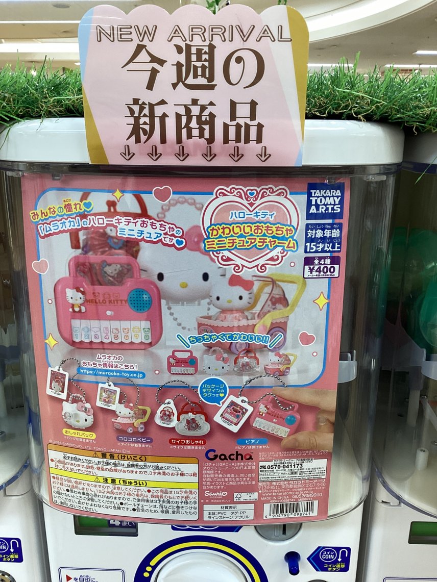 gashacoco（本部）の入荷情報の写真