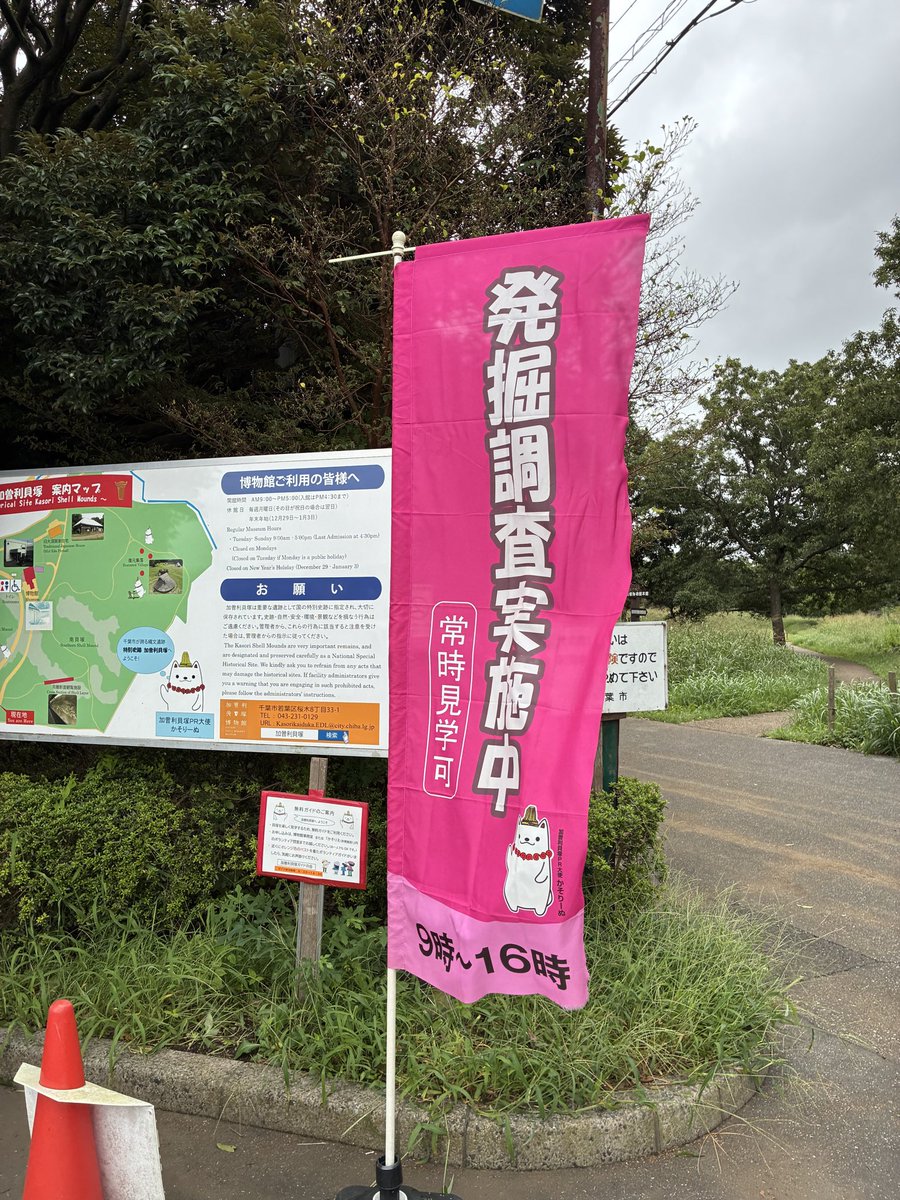 nob_rr's tweet photo. 最近なんか掘ってると思ってたら、こんな幟が立ててありました。
#加曽利貝塚 https://t.co/8a9NxJuB0i