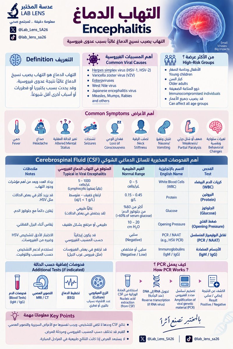 Lab_Lens_SA26's tweet photo. 🧠 التهاب الدماغ | Encephalitis

السائل الدماغي الشوكي Cerebrospinal Fluid (CSF) هو سائل شفاف يحيط بالدماغ والحبل الشوكي، ويساعد على حمايتهما ودعم وظائف الجهاز العصبي المركزي.

وعند الاشتباه بـ التهاب الدماغ (Encephalitis)، يُعد فحص الـ CSF من الأدوات المهمة لتقييم الحالة والمساعدة في تحديد المسبب.

🧵 في الصورة نستعرض باختصار:
🔹 أهم الأعراض
🔹 أهم فحوصات CSF
🔹 القيم الطبيعية والتغيرات المتوقعة
🔹 دور PCR في الكشف عن المسبب الفيروسي

📚 للمزيد – مصدر رسمي:
MedlinePlus – U.S. National Library of Medicine (NLM/NIH)
https://t.co/0G0rTB0OTz
#عدسة_المختبر