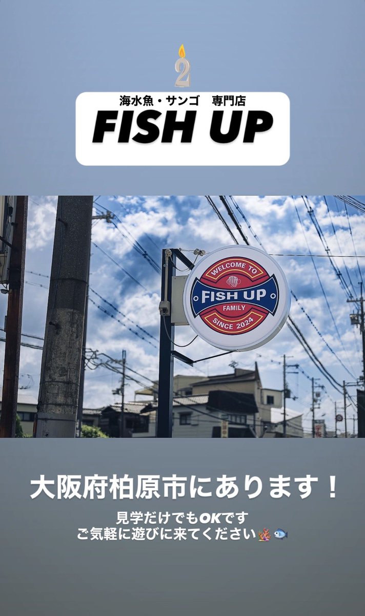 FISHUP2024's tweet photo. 大阪府柏原市にあります🍇
海水魚・サンゴ 専門店
FISH UP です🐟🪸
皆様ご気軽に遊びに来てくださいね💁♀️
#FISHUP
#大阪府柏原市
#海水魚
#サンゴ
#2周年 https://t.co/8hJG2pKQk6