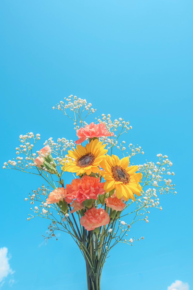 Noah_photobook's tweet photo. お花に癒されたい人に届きますように。 https://t.co/T7bAppLqAn