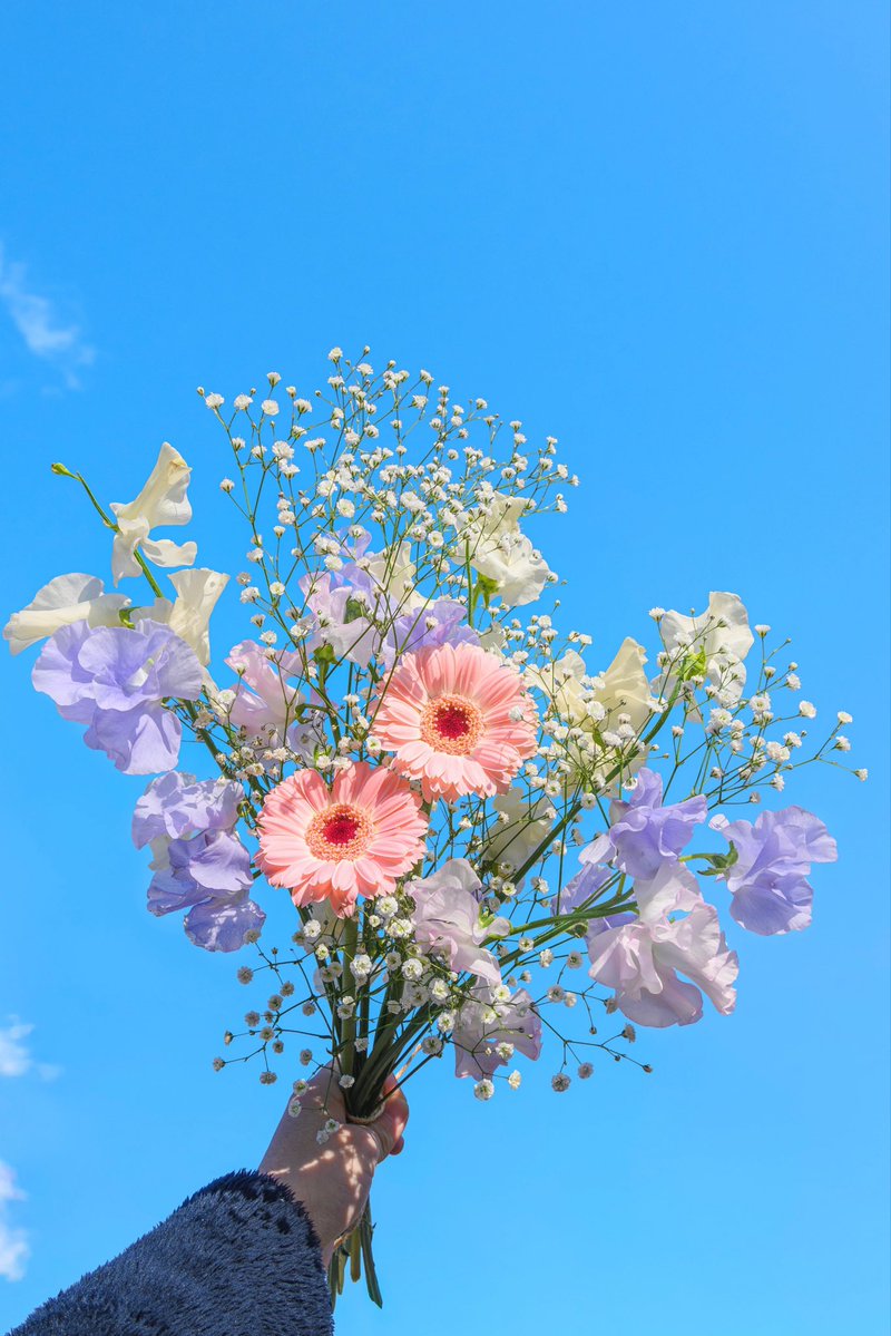 Noah_photobook's tweet photo. お花に癒されたい人に届きますように。 https://t.co/T7bAppLqAn