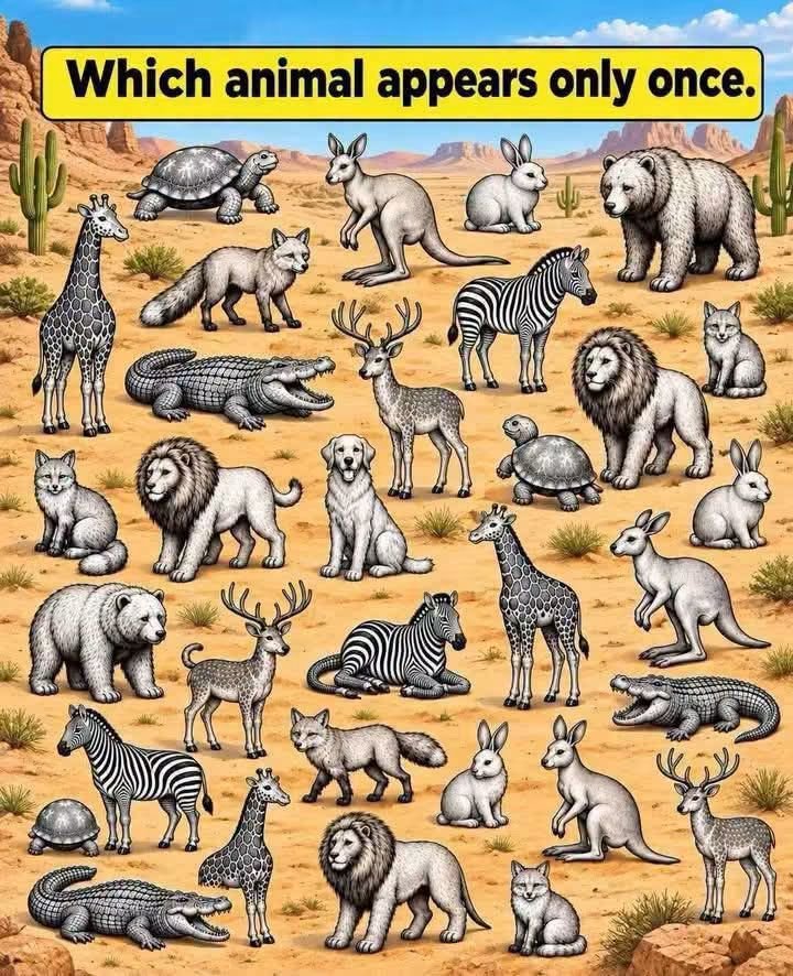 Hina_isb's tweet photo. Only genius can solve this https://t.co/YZ50qYdPlO