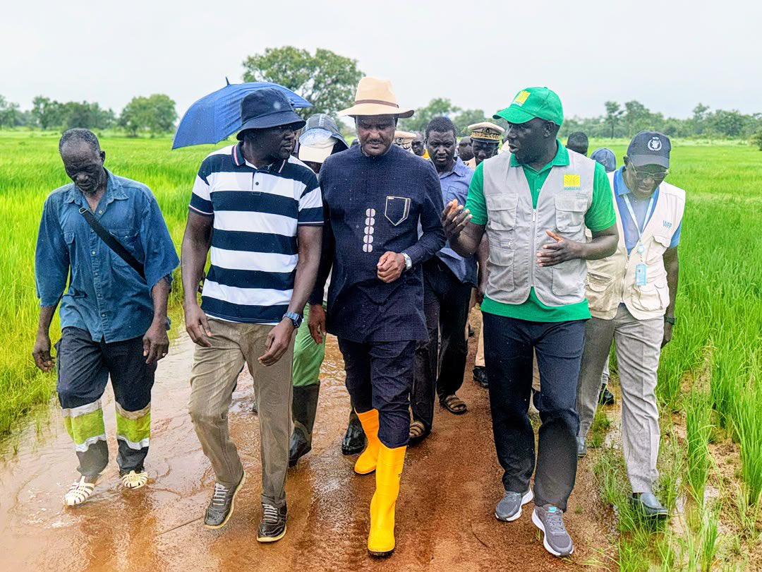 MASAE_sn's tweet photo. Pour cette deuxième journée à Kédougou, le MASAE a poursuivi sa tournée au cœur des vallées et des exploitations agricoles, de Darasalam à Sambagara, en passant par Sinthiou Gocki et Bandafassi .

À Darasalam, 17 hectares sont mis en valeur par une coopérative de 1 035 membres, dont 37 % de femmes et 66 % de jeunes. À Sambagara, 207 hectares sont exploités, dont 97,5 hectares dédiés à la multiplication de semences et 110 hectares à la production marchande de riz. À Sinthiou Gocki, 28 hectares de maïs, dont 25 hectares de maïs hybride, sont emblavés.

La tournée s’est achevée à Bandafassi , où 18 producteurs, dont 13 femmes et 5 jeunes, exploitent 60 hectares. Riz, fonio, maïs, maraîchage et transformation y sont développés sous l’impulsion de la coopérative dirigée par Mme Aya Ndiaye.

Sur le terrain, les producteurs ont partagé leurs contraintes : déficit hydrique, commercialisation, équipements, stockage et besoins en formation. Le Ministre Dr Cheikhou Oumar Bâ les a écoutés et a annoncé des mesures pour accélérer notamment la mobilisation des moissonneuses-batteuses et le diagnostic des matériels en panne.

Cette démarche s’inscrit dans le changement de méthode impulsé par le Président de la République, Bassirou Diomaye Faye : une action publique de proximité, fondée sur l’écoute des territoires, la concertation et la recherche de résultats concrets.

Cap maintenant sur Tambacounda, prochaine étape de cette tournée au plus près des producteurs et des acteurs des systèmes agro-pastoraux.