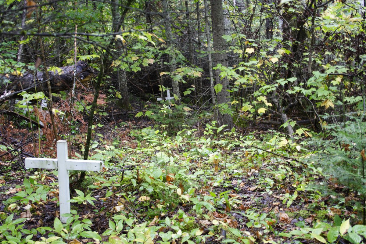 JohnTavaresJr's tweet photo. September 18, 2005. Historic and abandoned cemetery, inaccessible by road, near Sioux Mountain, Sioux Lookout, Ontario, Canada. https://t.co/kmJT1RVjJH