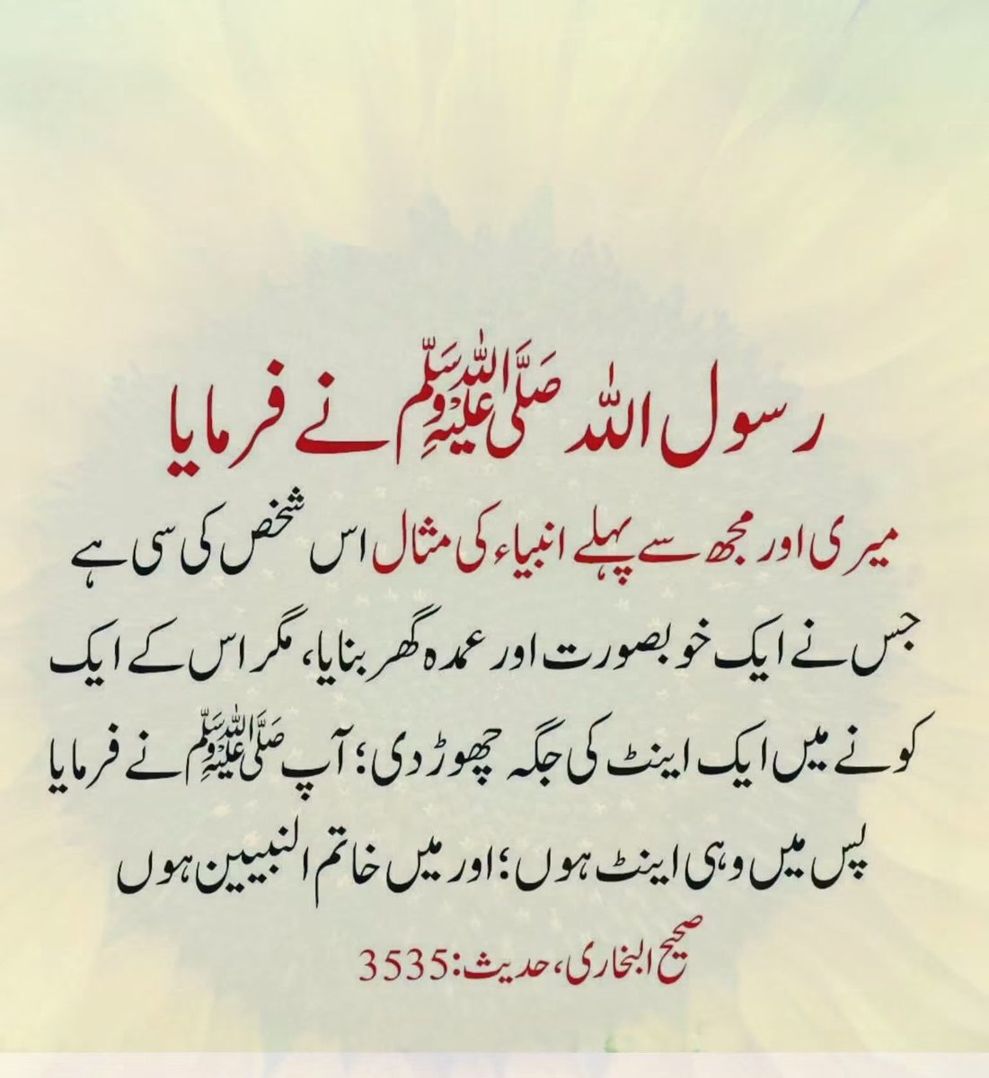 ChotiSheikhni's tweet photo. https://t.co/75oga0ZWtu