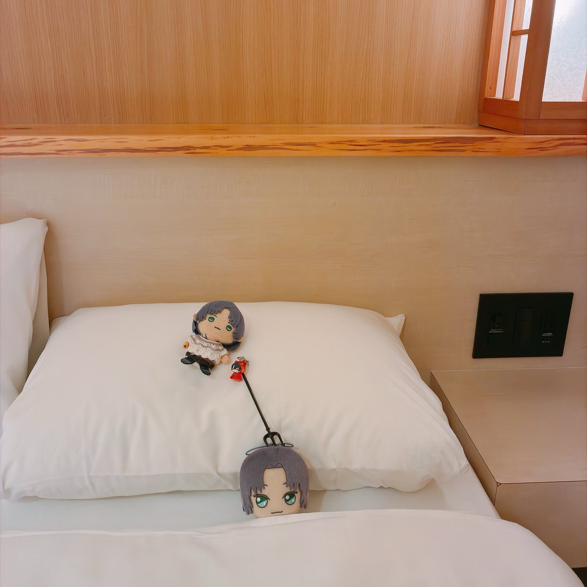 snowdrop_030's tweet photo. #まほやく_ぬい
#金曜ぬいNight https://t.co/h9zWzkSSyx
