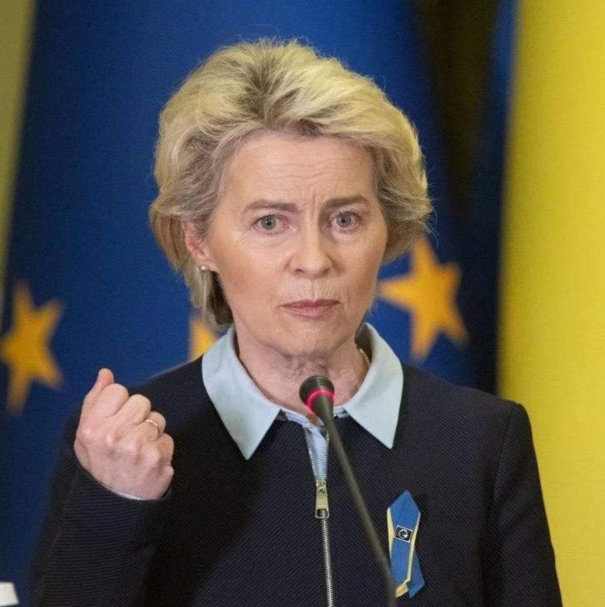 MarioBojic's tweet photo. 🇪🇺🇺🇦EU has just allocated an additional €3.3 billion for weapons for Ukraine.

European Commission and Zelensky keep fueling the war while Ukrainian men are sent to die.

Why don't European leaders who want the war to continue send their own children to the front? https://t.co/rYOVoe6qRX