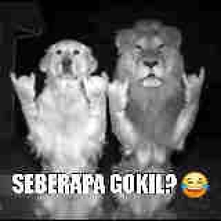 Molnaco's tweet photo. Ngulang dari awal.. https://t.co/2VE4LyA5aC