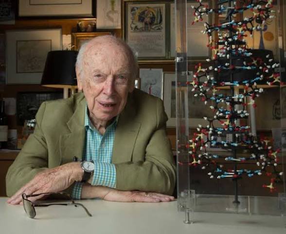AngloLad_'s tweet photo. James Watson, discoverer of DNA’s double helix and 1962 Nobel Prize winner, made comments linking race and intelligence widely condemned as “racist.” He had his Nobel Prize stripped and was sacked from his job.

In a 2007 Sunday Times interview, he said he was “inherently gloomy about the prospect of Africa” because “all our social policies are based on the fact that their intelligence is the same as ours, whereas all the testing says not really.”

He added that while he hoped everyone was equal, “people who have to deal with black employees find this is not true.” He also said there are many talented people of color, but you shouldn’t promote them if they haven’t succeeded at lower levels.

In his 2007 memoir Avoid Boring People, he wrote there is “no firm reason to anticipate that the intellectual capacities of peoples geographically separated in their evolution should prove to have evolved identically.”

In the 2019 PBS documentary American Masters: Decoding Watson, asked if his views had changed, he said: “No, not at all.” He added there is “a difference on the average between blacks and whites on IQ tests. I would say the difference is genetic.”

Scientist hated for using science. No one is hated and ridiculed more than he who speaks the truth.