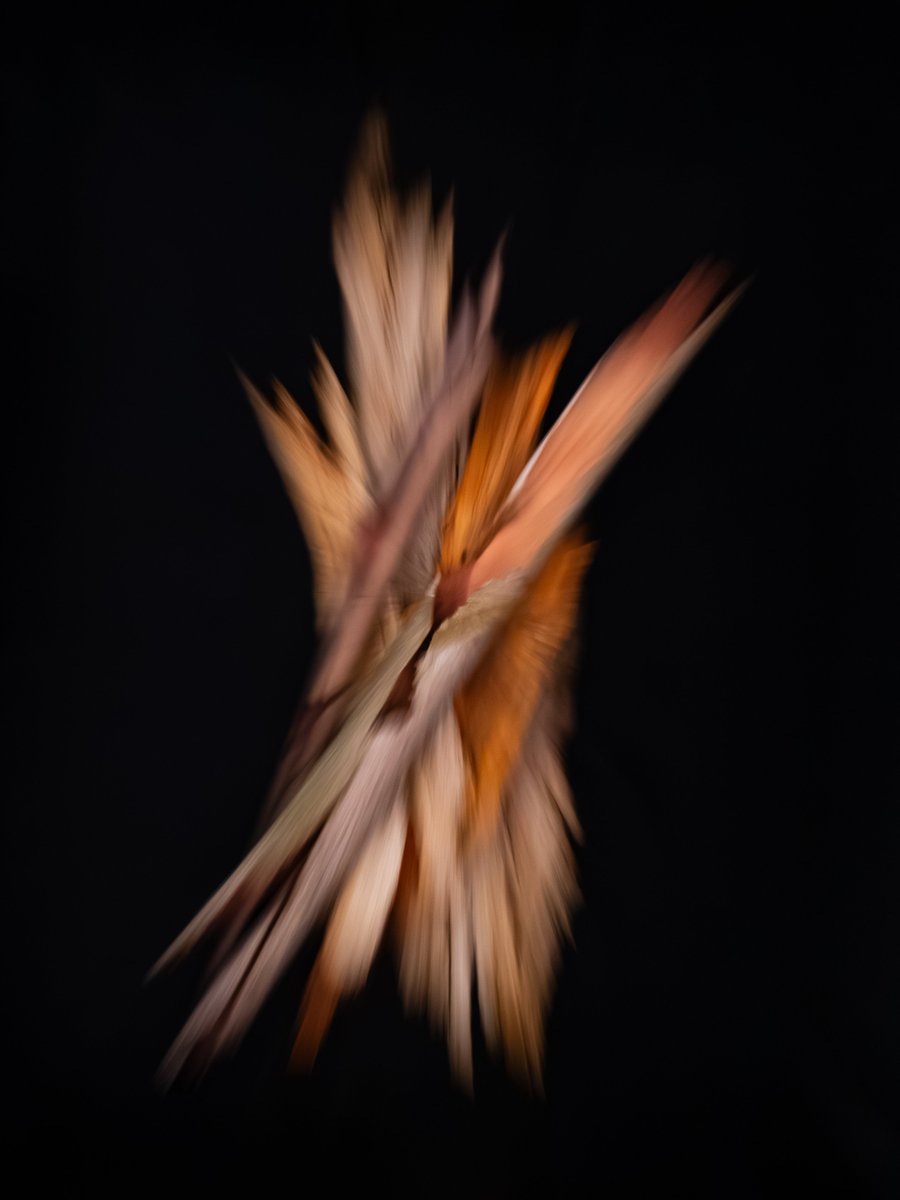 Andrew_Hooker_'s tweet photo. @elen_nft1 Thanks for the opportunity Elen, much appreciated.

Bark, is a small collection of intentional camera movement photographs that celebrates some of Mother Natures arboreal skin.

Three 1/1's and an edition of 20.

https://t.co/CPiC8bhN4h https://t.co/gfVd5rcRBE