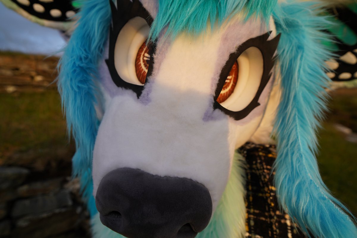 durrmaxxing's tweet photo. POV you are a tasty leaf or perhaps a juicy strawb. 

🪡 @HeadofMedusaArt 
📸 @Skararara5 

#fursuitfriday #fursuit #furry #deer https://t.co/KCdx7OV2qy