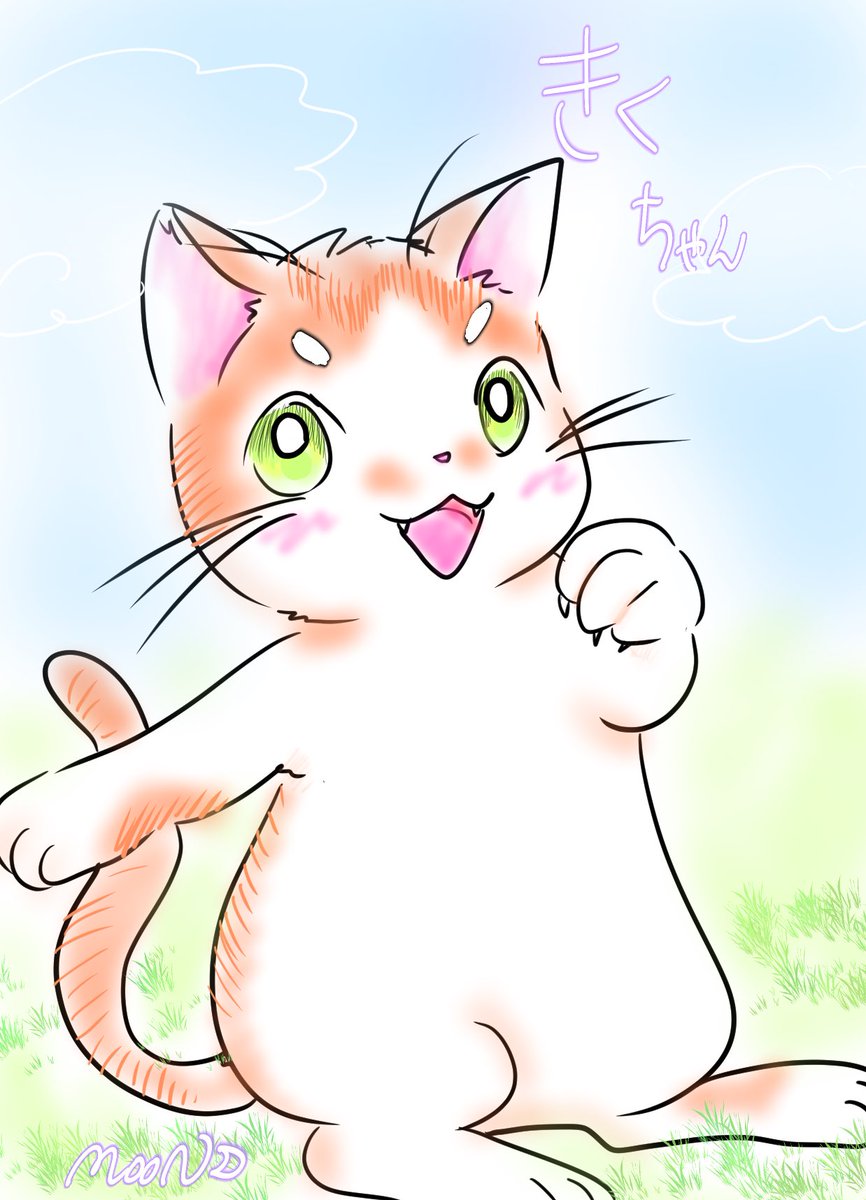 3wishmoon730's tweet photo. きくたそ💕🐈 https://t.co/29AEomsQTZ