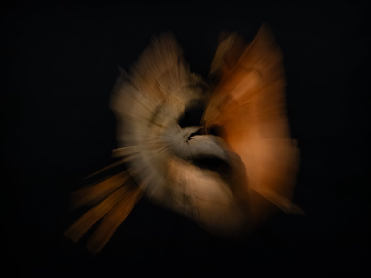 Andrew_Hooker_'s tweet photo. @elen_nft1 Thanks for the opportunity Elen, much appreciated.

Bark, is a small collection of intentional camera movement photographs that celebrates some of Mother Natures arboreal skin.

Three 1/1's and an edition of 20.

https://t.co/CPiC8bhN4h https://t.co/gfVd5rcRBE