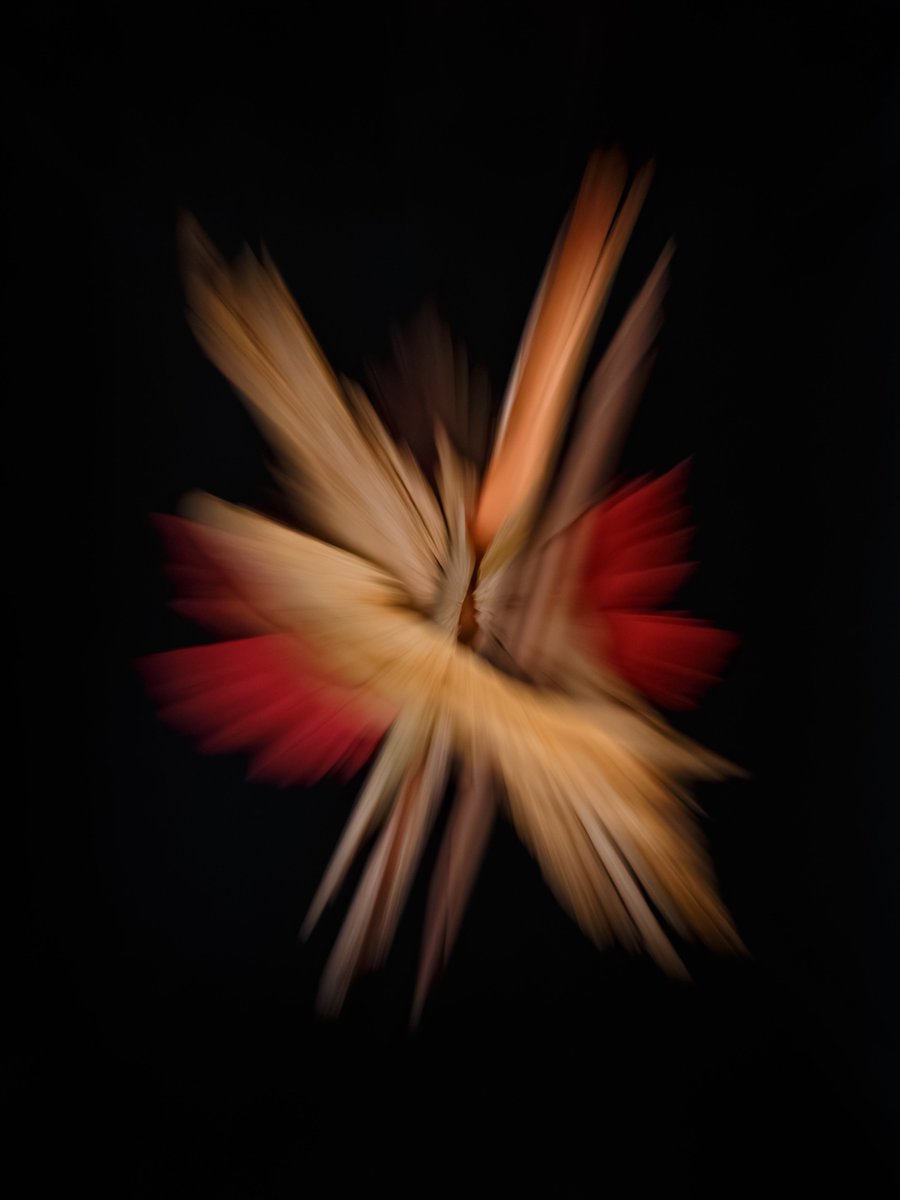 Andrew_Hooker_'s tweet photo. @elen_nft1 Thanks for the opportunity Elen, much appreciated.

Bark, is a small collection of intentional camera movement photographs that celebrates some of Mother Natures arboreal skin.

Three 1/1's and an edition of 20.

https://t.co/CPiC8bhN4h https://t.co/gfVd5rcRBE