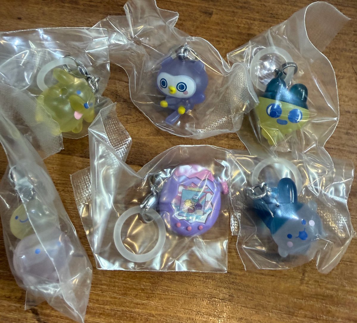 frotre14's tweet photo. たまごっち　めじるしアクセサリー　交換　買取

【譲】
ポチっち
ほーほっち
まめっち
まるっち
タマパラ紫
みみっち

【求】
いるかっち
くちぱっち
定価

渋谷手渡し希望 https://t.co/7yRFMeYnwU
