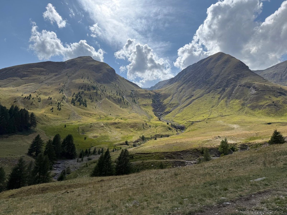 lisettebroess's tweet photo. Een maand na thuiskomst de laatste blog van de vakantie: Bezoekje aan de Alpen / Blogs | Lisettenatuurblog https://t.co/q4siE7GrAp
