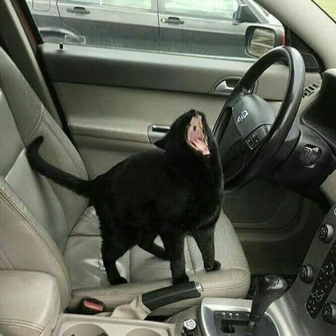 jijipurr's tweet photo. AAAAAAAAAAAAAAAAAAAAAAAAAA AAAAAAAAAAAAAAAAAAAAAAAAAA AAAAAAAAAAAAAAAAAAAAAAAAAA AAAAAAAAAAAAAAAAAAAAAAAAAA AAAAAAAAAAAAAAAAAAAAAAAAAA AAAAAAAAAAAAAAAAAAAAAAAAAA AAAAAAAAAAAAAAAAAAAAAAAAAA AAAAAAAAAAAAAAAAAAAAAAAAAA AAAAAAAAAAAAAAAAAAAAAAAAAA AAAAAAAAAAAAAAAAAAAAAAAAAA https://t.co/oYpMldaeNV