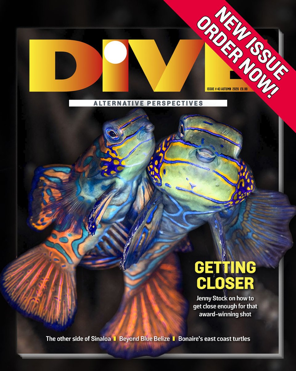 DiveMagazine's tweet photo. Our Autumn issue has gone to press! Subscribe before 23 September so you don't miss out on: Sinaloa sea lions, Bonaire's east coast turtles, Belize sustainable tourism, Roatan Aggressor, Wild Orcas, Top #underwaterphotography tips and more!

https://t.co/zaQNsIw3Pf

#scuba #scubadiving #magazine