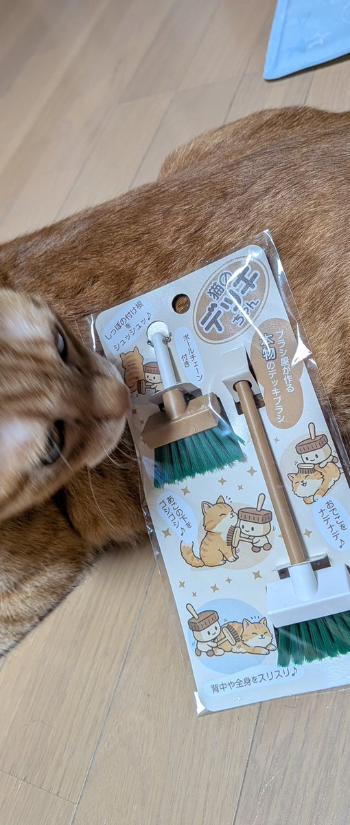aoba_row9's tweet photo. 猫用デッキブラシ〜
お気に召されたご様子🐱 https://t.co/Ik99W3MMY9