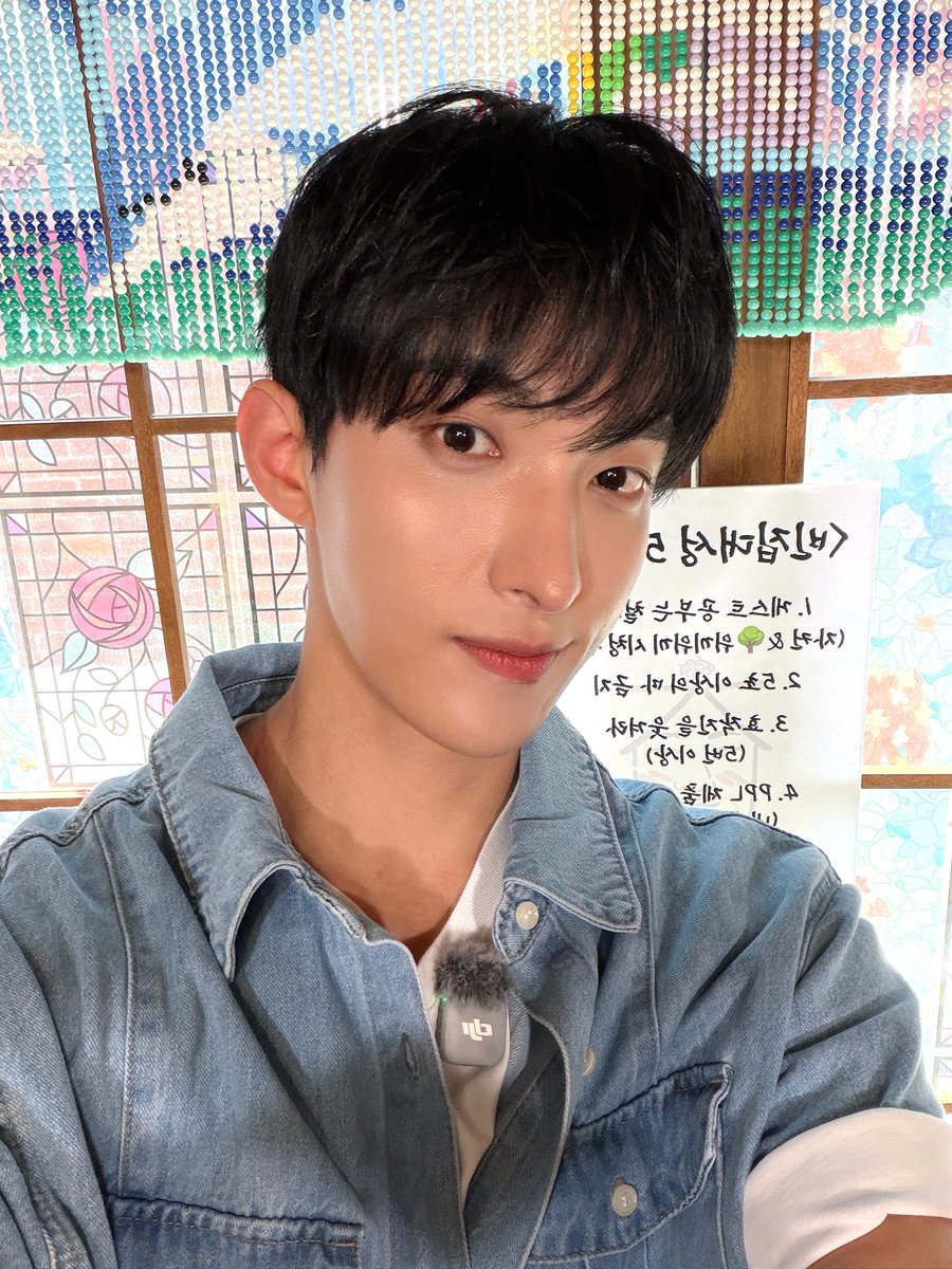 pledis_17 tweet picture