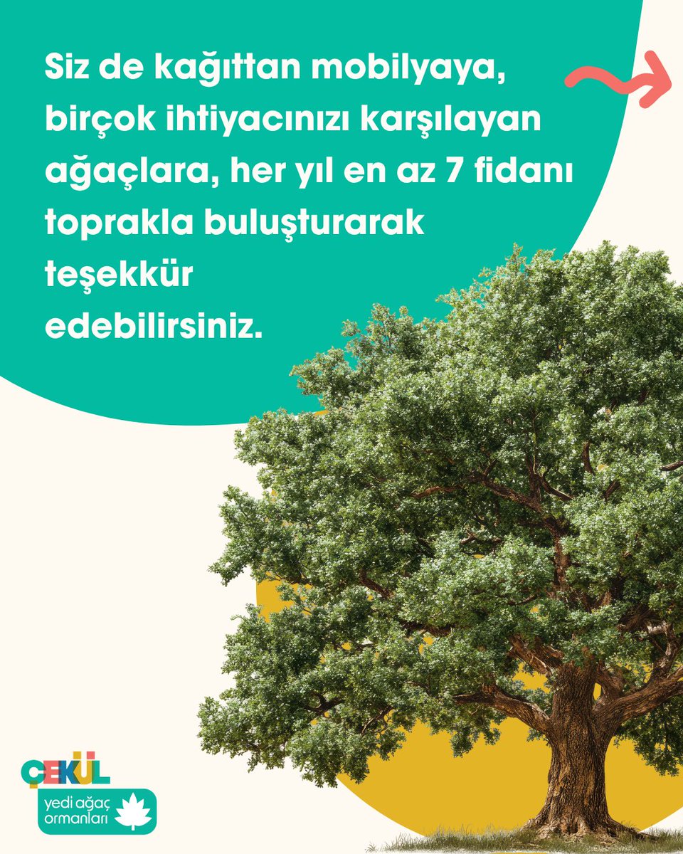 cekulvakfi's tweet photo. Siz de bir yıl boyunca kağıttan mobilyaya, birçok ihtiyacınızı karşılayan ağaçlara, her yıl en az 7 fidanı toprakla buluşturarak teşekkür edebilirsiniz.   

🌳Sayısını unutacağımız kadar fidanı toprakla buluşturmaya ne dersiniz? https://t.co/ge6pDkBl9y