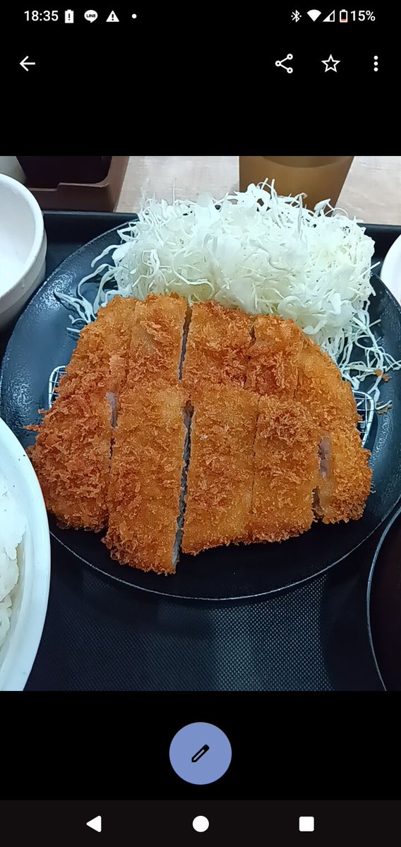 k_hello22322's tweet photo. ガッツリダブルロースかつ定食 https://t.co/cdR10ymOoM