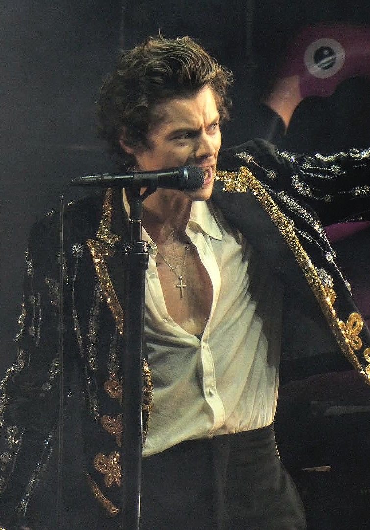 shortsrry67's tweet photo. This outfit from live on tour harry is my roman empire https://t.co/cMO4QyWY6N