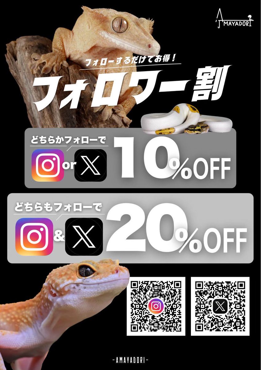sunete__'s tweet photo. ついに明日はNEWReptilesDay8th❗️❗️
あまやどりは久々にフォロワー割やるよ〜🈹
両方フォローしてイベントを待つべし!!
はせくん(@amayadori_hase )と飛来くん(@hira_rep )も参戦しますᴖ.ᴖ
あまやどりブースでお待ちしてます😎❤️🔥❤️🔥
@AMAYADORI_rep
#NEWReptilesDay https://t.co/nDHwsfM1dH