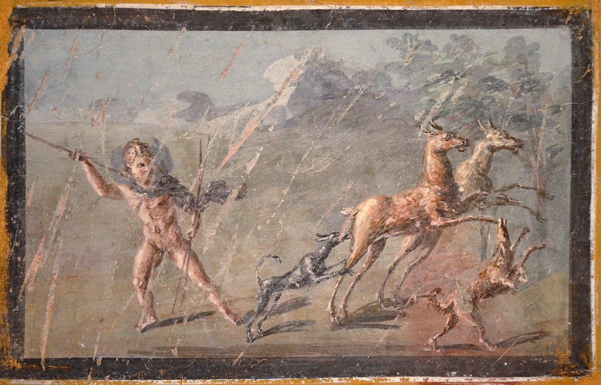 carolemadge's tweet photo. #FrescoFriday – Fresco depicting a Cupid hunting deer, from the cryptoporticus of the House of the Deer (Casa dei Cervi) at Herculaneum. Armed with a spear, the winged Cupid pursues two fleeing deer with hunting dogs. 

The luxurious house takes its modern name from the famous marble sculptures of deer attacked by dogs found in its garden.