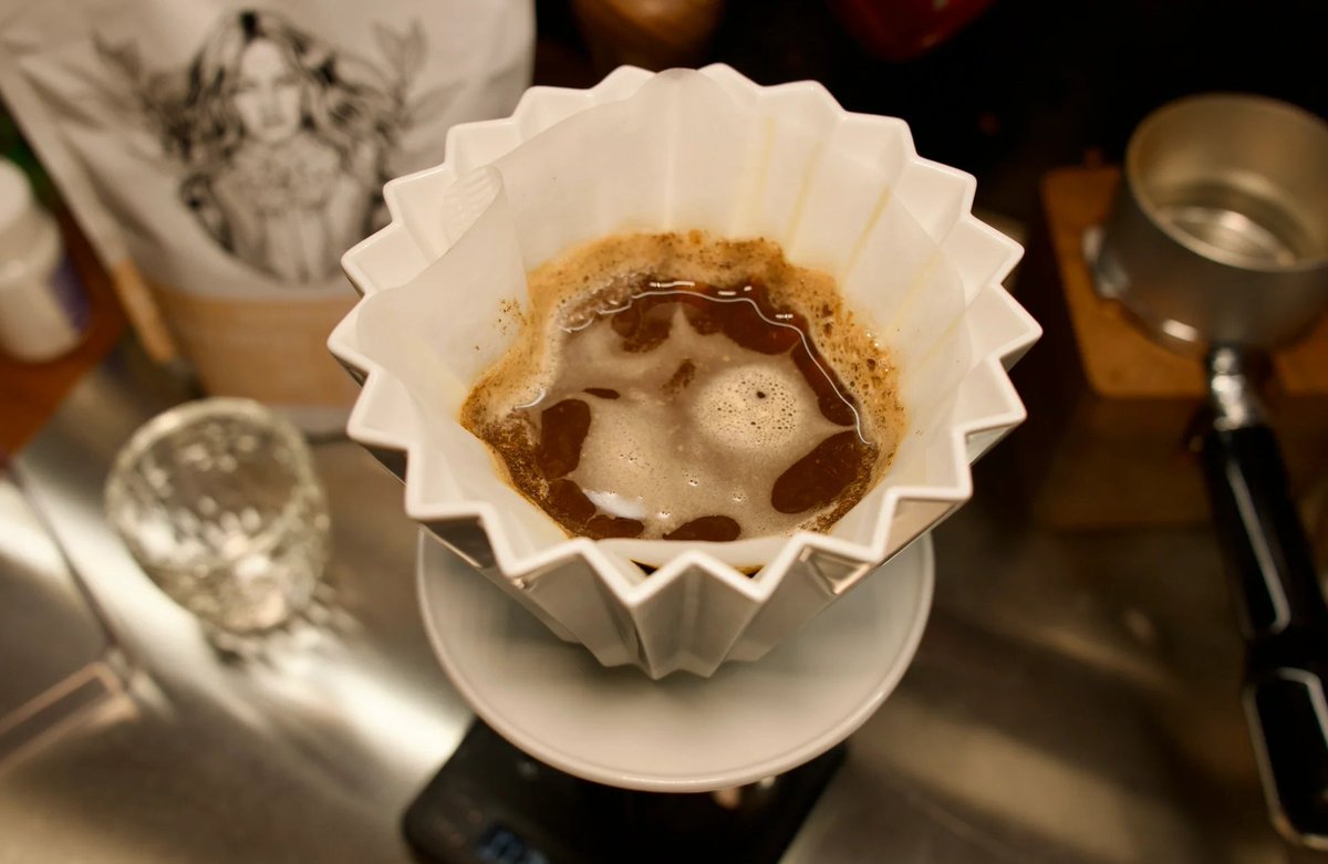 AudriaBill2bw's tweet photo. [Tried a zero-waste coffee filter made from mushroom fibers this morning—zero plastic, smooth brew, and the earth thanks you too. Small swaps = big vibes!]， https://t.co/j5d7KXTOHf