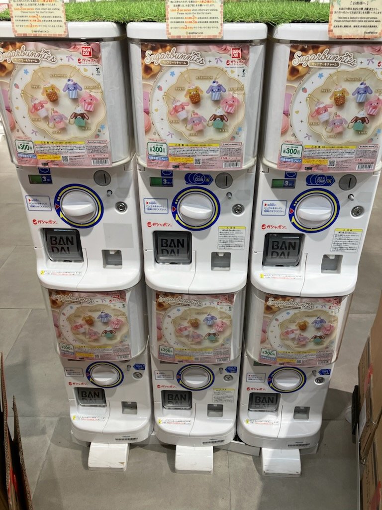 gashacoco_IKB's tweet photo. 商品情報🦉📢

#シュガーバニーズカップケーキチャーム

地下1階で販売しています🧁

お一人様「3回」で並び直しをお願いします。
※商品はなくなり次第終了となります。

#gashacoco池袋
#池袋 https://t.co/2ihyaMrWj6