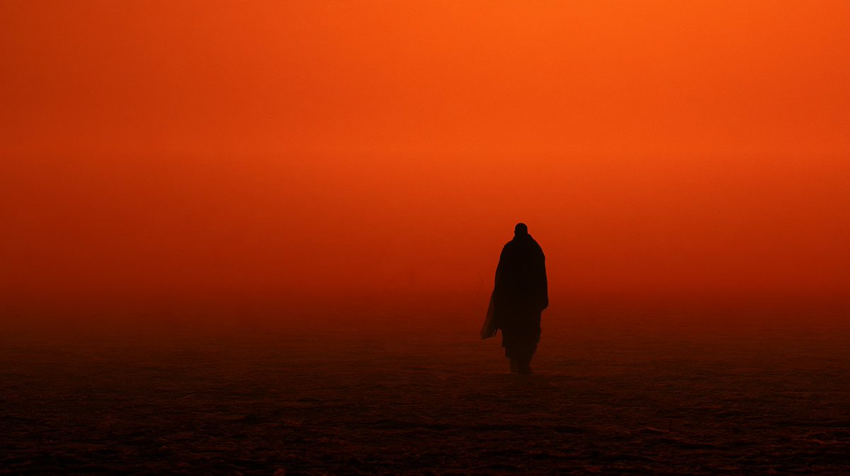 EmberLumina's tweet photo. Amber Fog Minimal Surrealism
Midjourney V8.2 https://t.co/dKu0oFLp3d