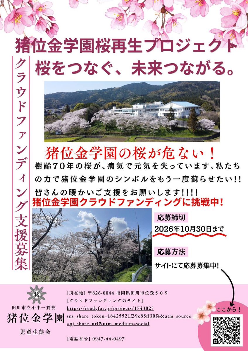 Uranojin0624's tweet photo. 🌸桜をつなぐ、未来をつなぐ🌸

田川市役所に猪位金学園の小学生・中学生の皆さんが来てくれました！

「学校の桜を、自分たちの力で守りたい」
「母校のシンボルを、もう一度元気にしたい」

子どもたちが自分たちで動いて、自分たちの言葉で伝えに来てくれる。

その想いに、胸を打たれました！

猪位金学園の桜は、地域の人たちがずっと見守ってきたシンボルです。入学式も、卒業式も、この桜と一緒に迎えてきた。
それが今、病気で弱っています…

このままじゃ終わらせたくない。
子どもたちの本気に、大人も本気で応えたい🔥

田川市内はもちろん、全国のみなさんの力も貸してください🙏
一人でも多くの応援が、この桜と子どもたちの元気につながります！

何卒、クラウドファンディングのご協力・この投稿の拡散、ご協力よろしくお願いいたします！！

▼クラウドファンディングはこちら🔗

https://t.co/NvSoXGTr1I

⏰応募締切:2026年10月30日

#田川市 #猪位金学園 #桜再生プロジェクト #クラウドファンディング