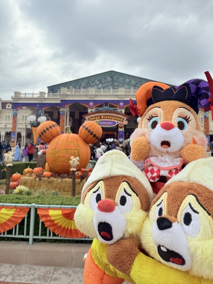 mecyamuuu's tweet photo. うっまいもん食べてグリたくさんできて𝑯𝑨𝑷𝑷𝒀 https://t.co/4DYiOjEbWR