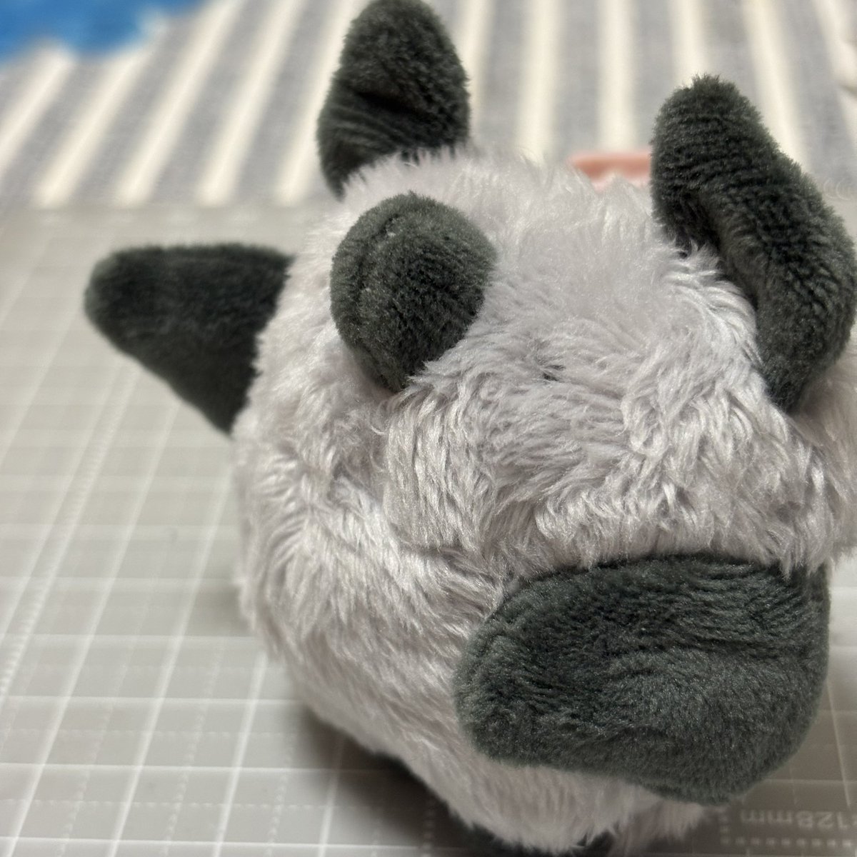 mogurappi's tweet photo. まっすぐ行ってもらえればすぐ洞窟の出口が見えるﾓﾘですので…足元はお気をつけてくださいﾘﾝね https://t.co/kT9DaWH4oP