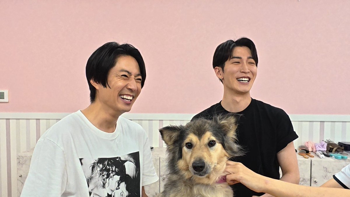 oricon's tweet photo. 📺今夜『嗚呼!!みんなの動物園』2時間SP
⠀
Snow Man渡辺翔太が再び登場💙
相葉雅紀と保護犬をトリミング🫧
⠀
なぜアイドルになったのか❓️
共通の友人の話など、渡辺が答える場面も
https://t.co/j3dGoxD9xN https://t.co/0TJEZ8K98q