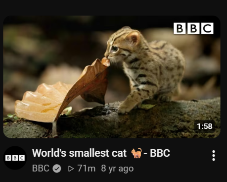 ImyusernameI's tweet photo. yes youtube!
I AM INTERESTED🥹🥰 https://t.co/UhjcCbSAcW