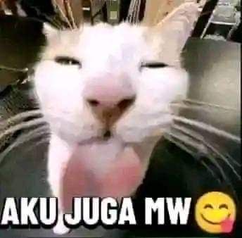 nasirames5k's tweet photo. sosok asli atmint loh rek 😹😹

(ramein nanti atmint follow) https://t.co/NUywbBp8R3