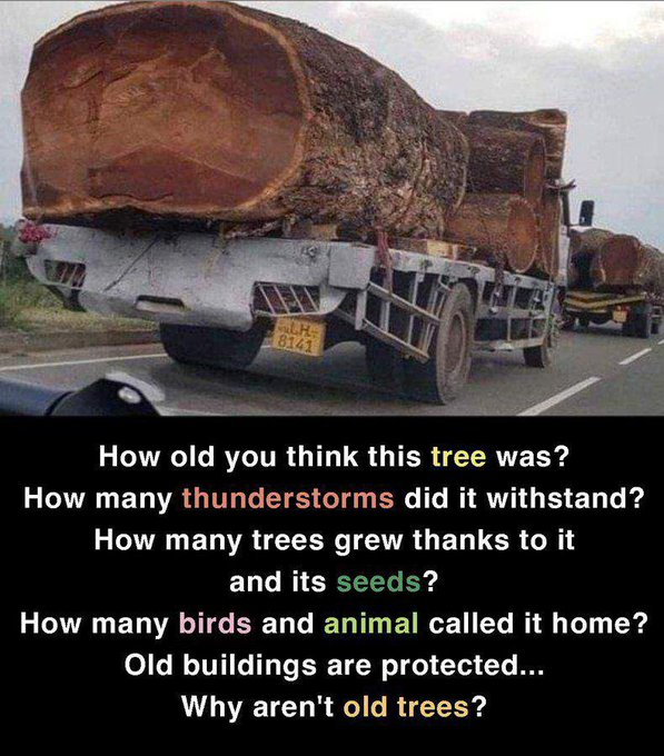 FraserYasin's tweet photo. We don't have a "climate problem". We have a greed problem. The planet isn't dying, it's being killed. And those killing it have names and boardrooms. #ClimateJustice #StopEcocide https://t.co/0dBe9OKvRl