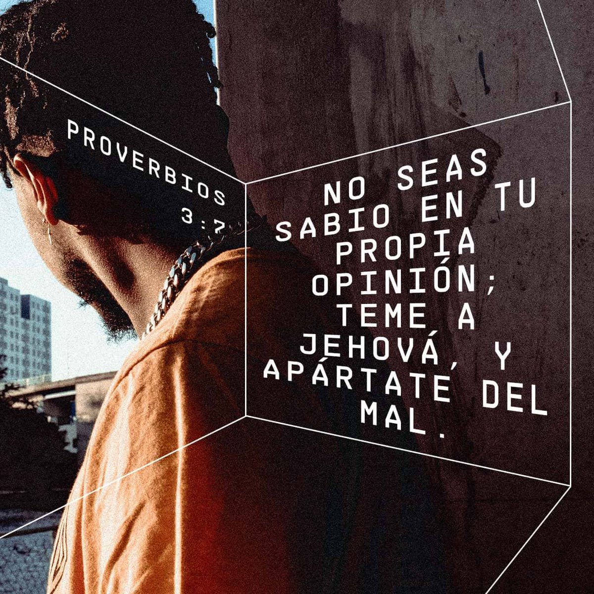 AlexBikers's tweet photo. Buen día para todos que tengan un excelente día bendiciones para todos 🙏🌄❤️🙌🤗😊

https://t.co/lVjUhWabaQ https://t.co/qpvq27nLFg