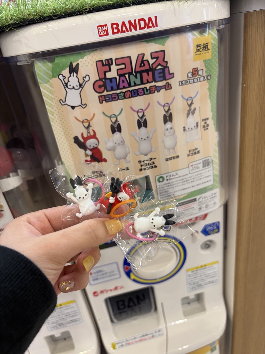 _cha125's tweet photo. あった！あったよ！！！ https://t.co/xcIrFiyaeN