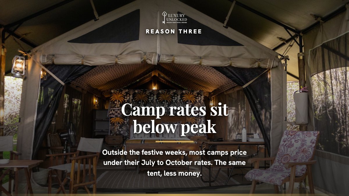 luxury_unlocked's tweet photo. November in the Masai Mara, the month most people skip.  

The short rains arrive and the plains turn green. Showers are usually brief, often in the afternoon, and the skies afterwards are the reason photographers come now. 

Fewer vehicles at a sighting, and camp rates below peak.