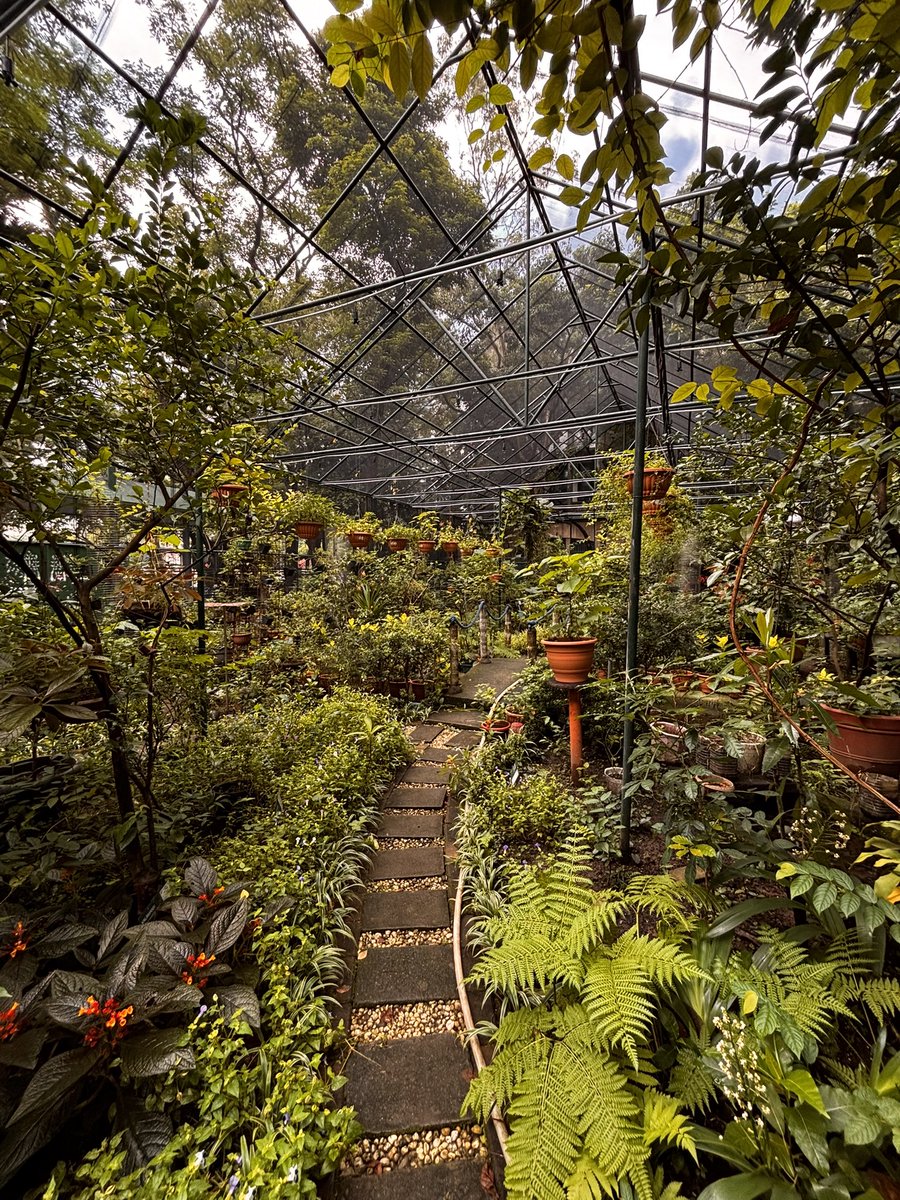 ellisswell's tweet photo. butterfly sanctuary https://t.co/NtcdFG013e