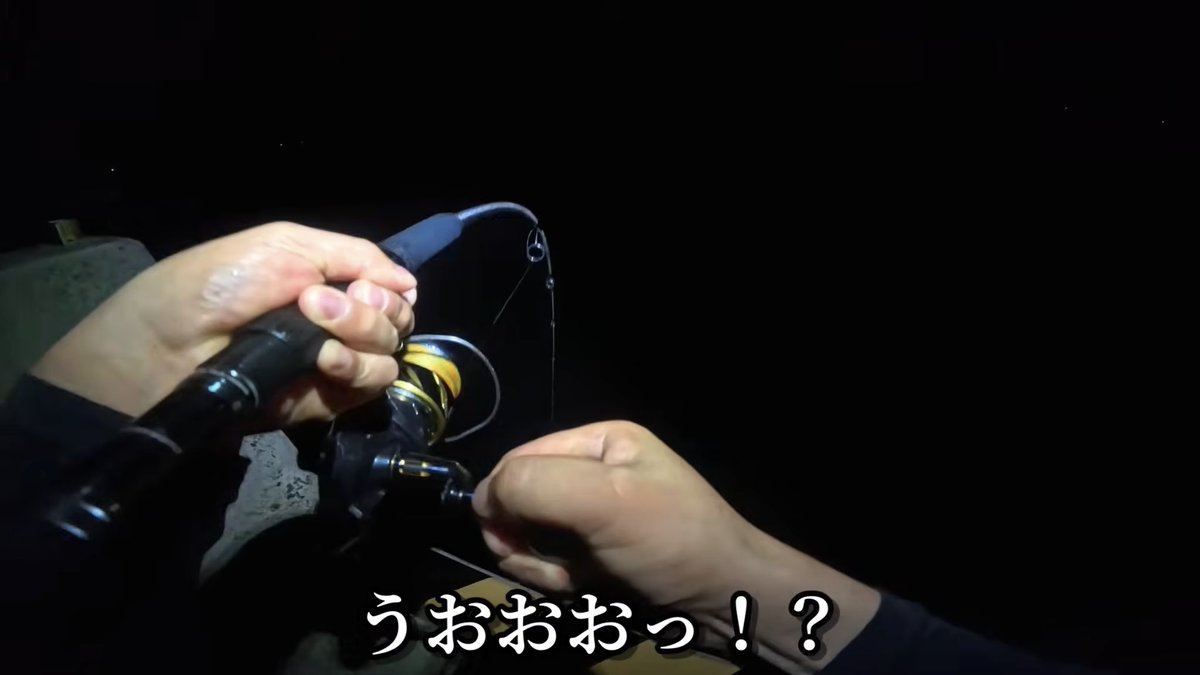 genkai37564's tweet photo. 動画出したーよ！！！
フェリー乗り場の足元からクエが来ちゃ！！衝撃を見届けよ！！！

https://t.co/n6C5qjxwkM https://t.co/rCEmIHQkdQ