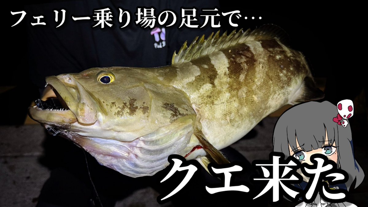 genkai37564's tweet photo. 動画出したーよ！！！
フェリー乗り場の足元からクエが来ちゃ！！衝撃を見届けよ！！！

https://t.co/n6C5qjxwkM https://t.co/rCEmIHQkdQ